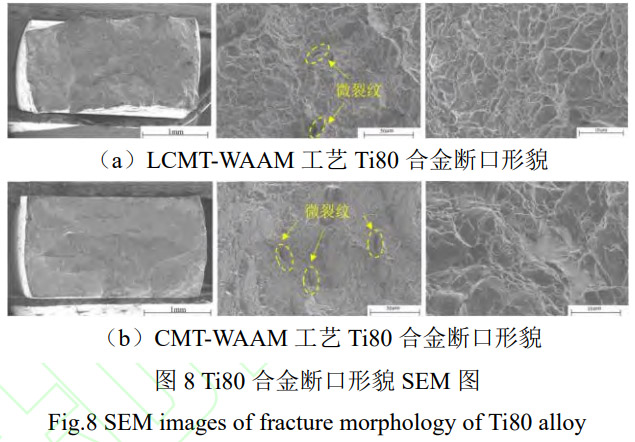 1768961441582543.jpg 8.jpg